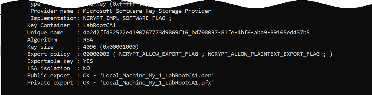CA Certificate Details